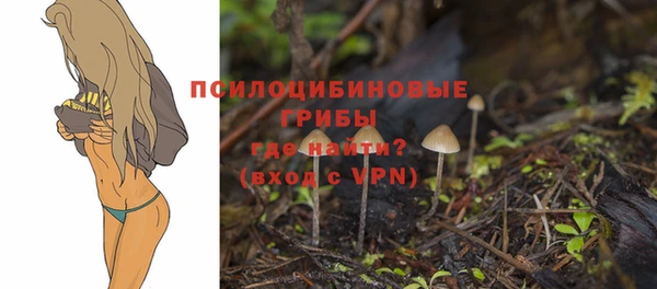 мяу мяу мука Осинники