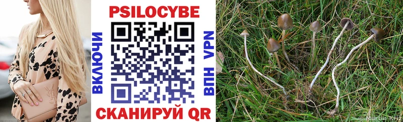 Псилоцибиновые грибы Cubensis  Змеиногорск 